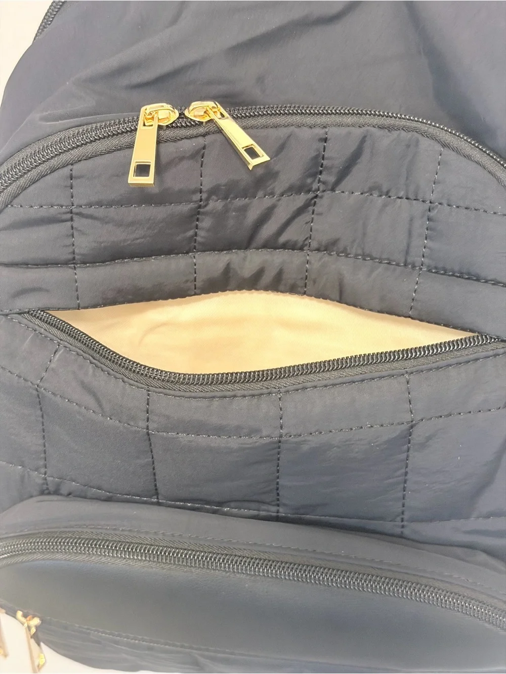 CAMTOP Work and College Backpack for Women with Gold-tone Hardware.